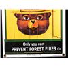 Image 3 : Smokey Bear U.S. Forest Service Porcelain Sign