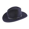 Image 1 : Stetson Hat Collection