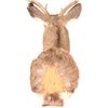 Image 6 : Trophy Mule Deer Shoulder Mount