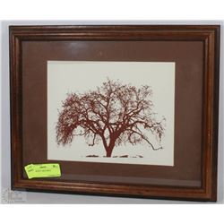 BROWN/WHITE TREE PRINT