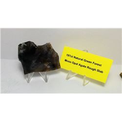 NATURAL GREEN FOREST MOSS OPAL ROUGH SLAB