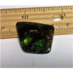 GREEN FIRE AMMOLITE GEMSTONE