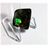 Image 2 : GREEN FIRE AMMOLITE GEMSTONE