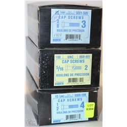 LOT OF ASSORTED SIZE PAPCO CAP SCREWS