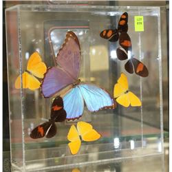 WALL HANGING SHADOW-BOX DISPLAY OF 7