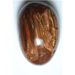 Natural Colorful Healing Petrified Wood 876 Carats