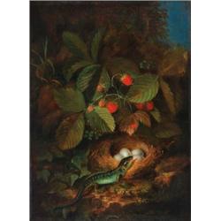 George Forster (1817-1896) Fruit Piece with Birds Nest and Lizard, 1844 signed and dated “Forster...