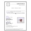 Image 3 : 1.85CT NATURAL COLOR CHANGE GARNET 14K WHITE GOLD RING