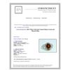 Image 3 : 4.66CT NATURAL MALAYA GARNET 14 WHITE GOLD RING