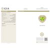 Image 3 : GIA 12.54CT NATURAL BURMA PERIDOT 18K WHITE AND YELLOW GOLD RING