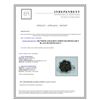 Image 3 : 14K WHITE GOLD RING 5.00GRAM WHITE DIAMOND 0.28CT BLACK DIAMOND 0.83CT