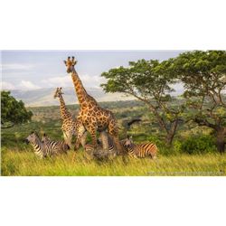 South Africa Photo Safari for 2 People