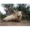 Image 3 : QUEBRACHAL RANCH - Argentina | 7-day hunt in Santiago del Estero for 2 hunters