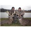 Image 1 : BRIARWOOD - BELLEFONTAINE, OHIO | WHITETAIL HUNT FOR TWO HUNTERS