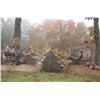 Image 5 : BRIARWOOD - BELLEFONTAINE, OHIO | WHITETAIL HUNT FOR TWO HUNTERS