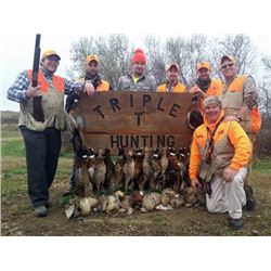 TRIPLE T HUNTING ADVENTURES - LYNCH NEBRASKA | PHEASANTS
