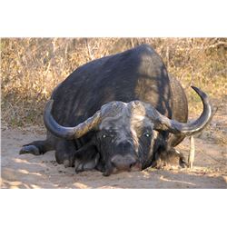 SOUTHERN CROSS SAFARIS - Eastern Cape, South Africa hunt for 7 animals