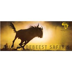 WILD WILDEBEEST SAFARIS - South Africa | 1 Kudu & 1 Nyala