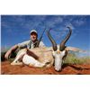Image 2 : MARUPA SAFARIS - SOUTH AFRICA | $4000.00 Credit for 2 Hunters | BILL’S TAXIDERMY - $500 CREDIT