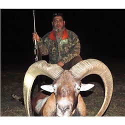 STONEY CREEK AGENCY | Caza Pampa Ranch-Patagonia Argentina | Blackbuck & Hybred Sheep