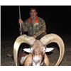 Image 1 : STONEY CREEK AGENCY | Caza Pampa Ranch-Patagonia Argentina | Blackbuck & Hybred Sheep