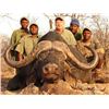 Image 1 : JONNY HULME SAFARIS | Buffalo, Sable, Crocodile and Plains Game