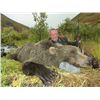 Image 4 : Grizzly/Brown Bear Hunt for 1 Hunter | RAINY PASS LODGE - ALASKA