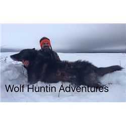 WOLF HUNTIN’ ADVENTURES | Wolf Hunt for Two Hunters