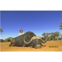 NUMZAAN SAFARIS | Cape Buffalo Safari for 2 Hunters