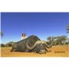 Image 1 : NUMZAAN SAFARIS | Cape Buffalo Safari for 2 Hunters