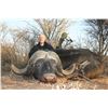 Image 5 : NUMZAAN SAFARIS | Cape Buffalo Safari for 2 Hunters