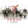 Image 2 : MORANI RIVER RANCH - TEXAS |  Aoudad