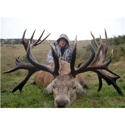 LEITHEN VALLEY TROPHY HUNTS - South Island, New Zealand | Red Stag to 340 SCI |  Coppersmith Package