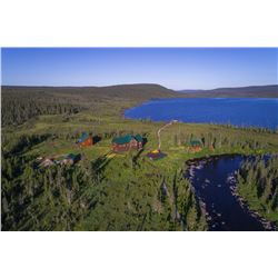 ARLUK OUTFITTERS - Newfoundland, Canada | 1 Moose and 1 Black Bear