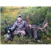 Image 3 : ARLUK OUTFITTERS - Newfoundland, Canada | 1 Moose and 1 Black Bear