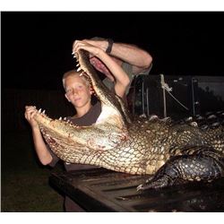 TRIPLE M OUTFITTERS UNLIMITED - FLORIDA | Trophy Alligator Hunt