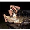 Image 1 : TRIPLE M OUTFITTERS UNLIMITED - FLORIDA | Trophy Alligator Hunt