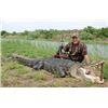Image 4 : TRIPLE M OUTFITTERS UNLIMITED - FLORIDA | Trophy Alligator Hunt