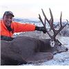 Image 4 : BEAR PAW HUNTS - SOUTH HAVRE MONTANA | MULE DEER AND WHITETAIL