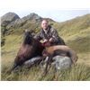 Image 2 : Bull Tahr & Arapawa Ram | DEERBROOKE SAFARIS - NEW ZEALAND