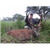Image 7 : CAZA Y SAFARIS – BLACKBUCK, FERAL RAM, AND WILD BOAR | 4-Day hunt in Argentina for 1 hunter