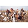 Image 4 : SNOW GOOSE HUNT - MARYSVILLE, MO | PRAIRIE WINGS OUTFITTERS