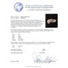 Image 4 : 1.68 ctw Diamond Wedding Ring Set - 14KT White Gold