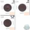 Image 1 : 1-cent 1858 Group Lot. Coins grade G-6 to VG-8 (coins are scratched or Impaired). 3pcs