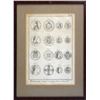 Image 2 : Complete Set of Diderot's Famous Series of Engravings
