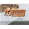 Image 2 : ASIAN CARVED DRAGON SEAL