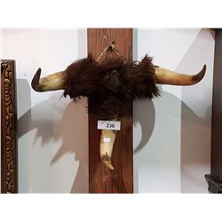 NATIVE HORNED BURIAL GUARDIAN
