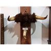 Image 1 : NATIVE HORNED BURIAL GUARDIAN