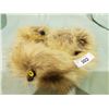 Image 1 : FUR OWLS