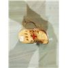 Image 2 : NATIVE POUCH